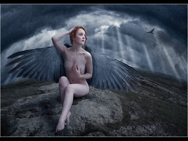 74 - FALLEN ANGEL - LINES ADRIAN - united kingdom.jpg